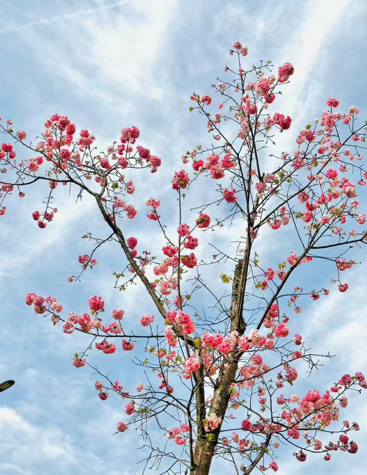玄学提醒：一定要多穿漂亮衣服