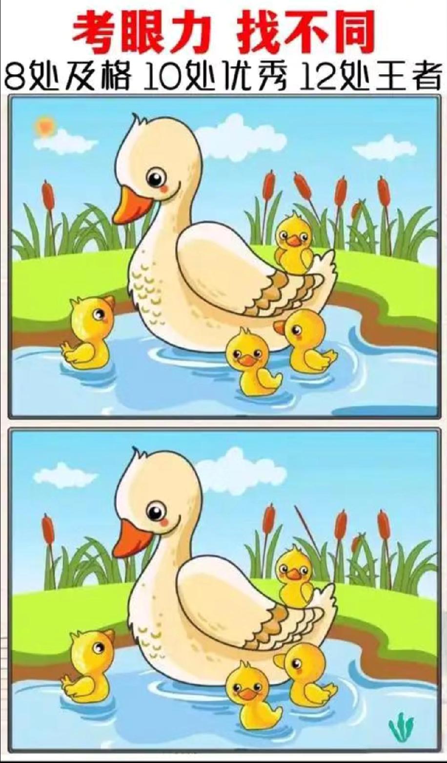 考眼力：鸭妈妈带小鸭的图藏了12处不同，我眼睛都盯酸了，你能及格吗？