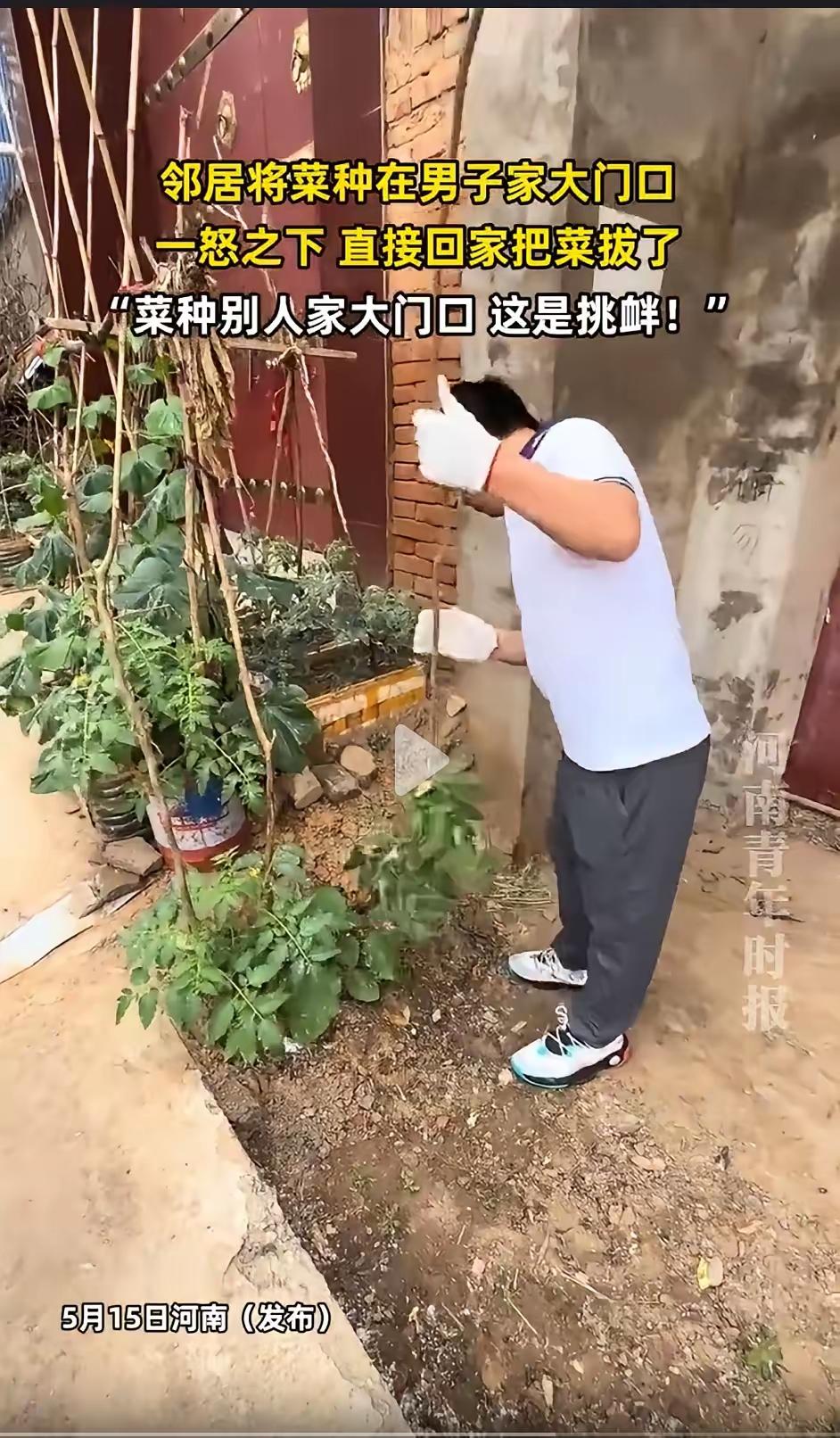 河南这位大哥简直是吾辈楷模！家门口被邻居强行搞成了“开心农场”，好话说尽、沟通了