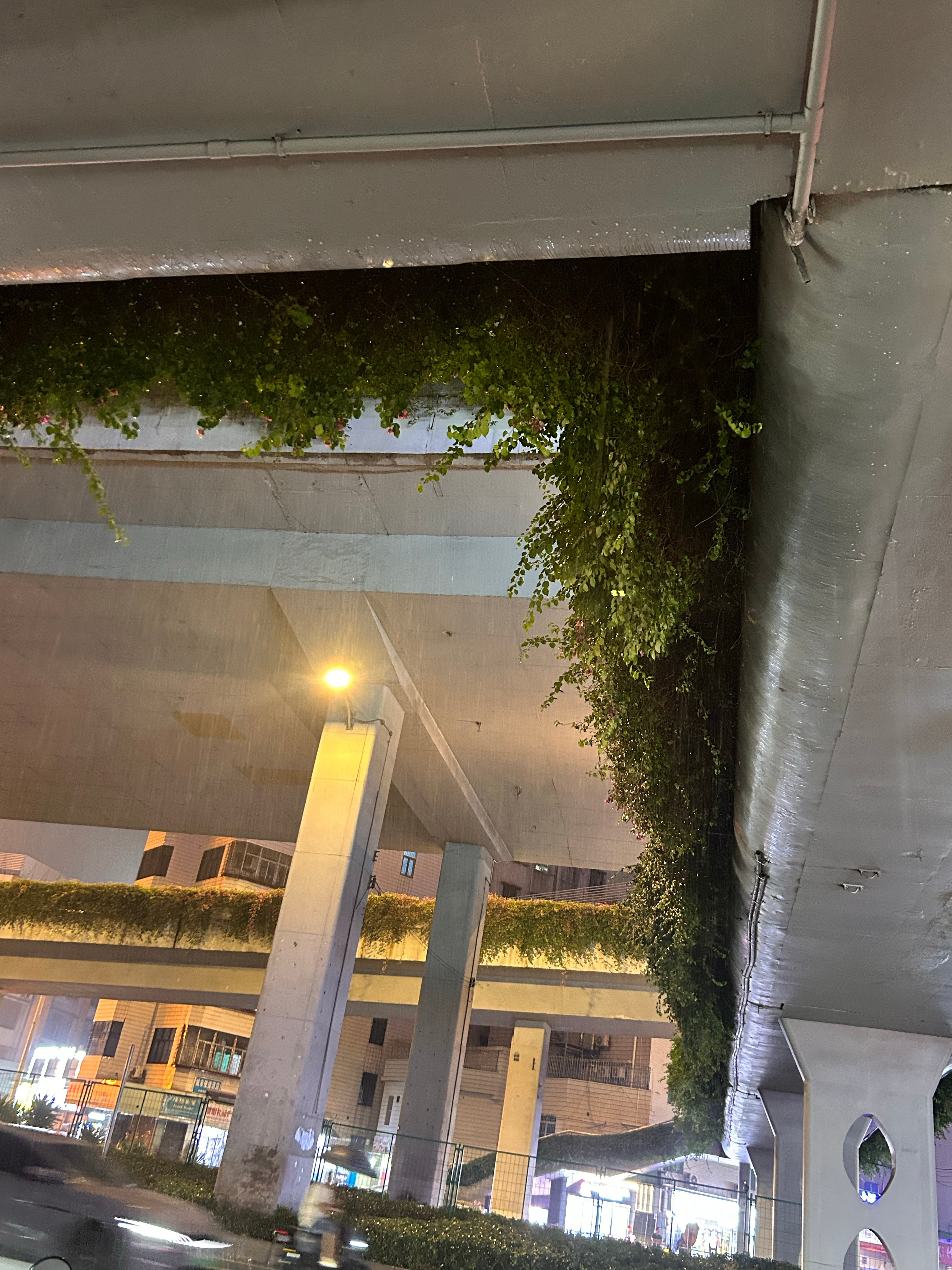 下班这狂风暴雨，是不是白海豚干的好事全身湿透了💦台风白海豚最新路径公布随手拍广
