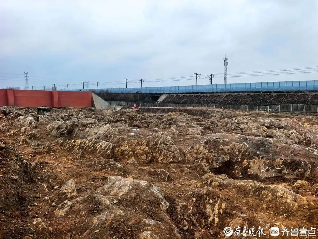 山东修高铁站挖出5亿年前远古奇观