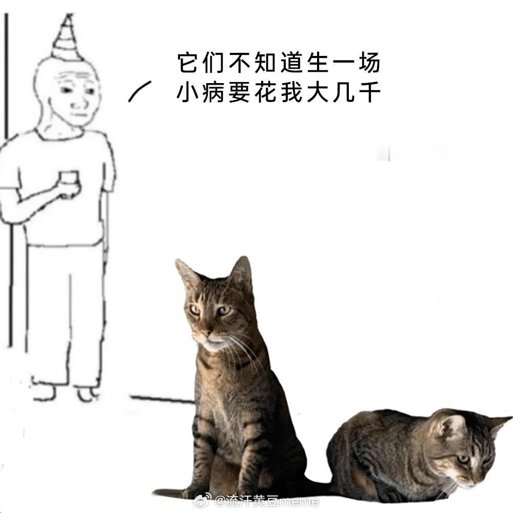 网友投稿图片选集