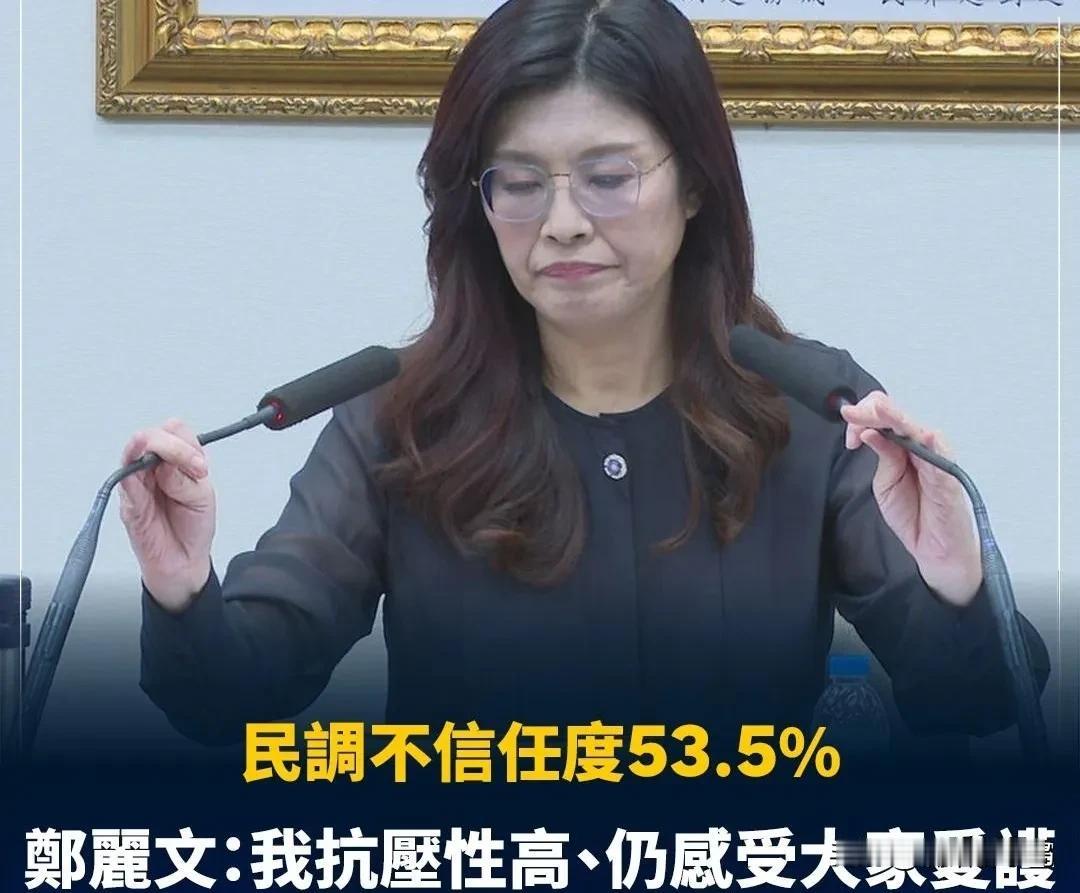 史上最弱党主席？李四川闪电出线，郑丽文被称“令不出中常会”对地方派系毫无掌控力