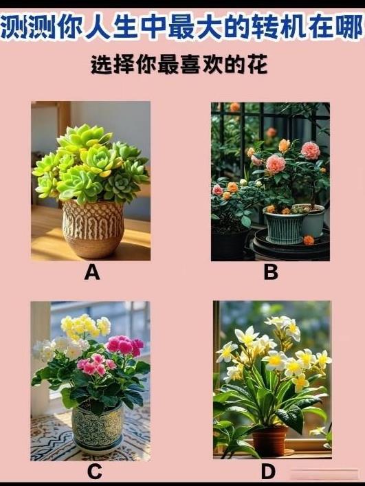 心理测试1288，选出你喜欢的花，测试你人生中最大的转机在哪？#秋日生活打卡季#