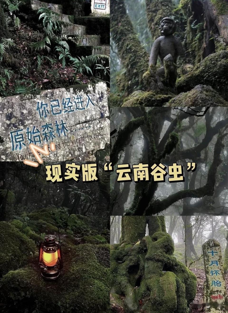 这是连本地人都不敢轻易涉足的地方，云南哀牢山被称为人类生命禁区，和现实版云南虫谷