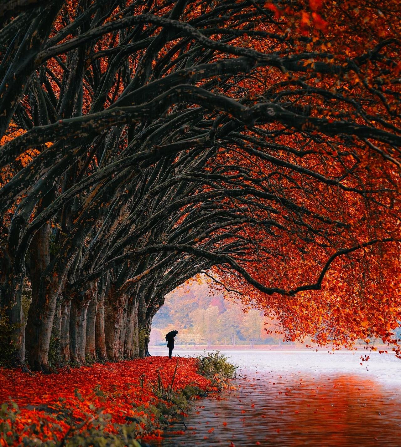 中年女性们，按摩店里的生活她们大多三四十岁，以前在超市上班，长得都很普通，现在