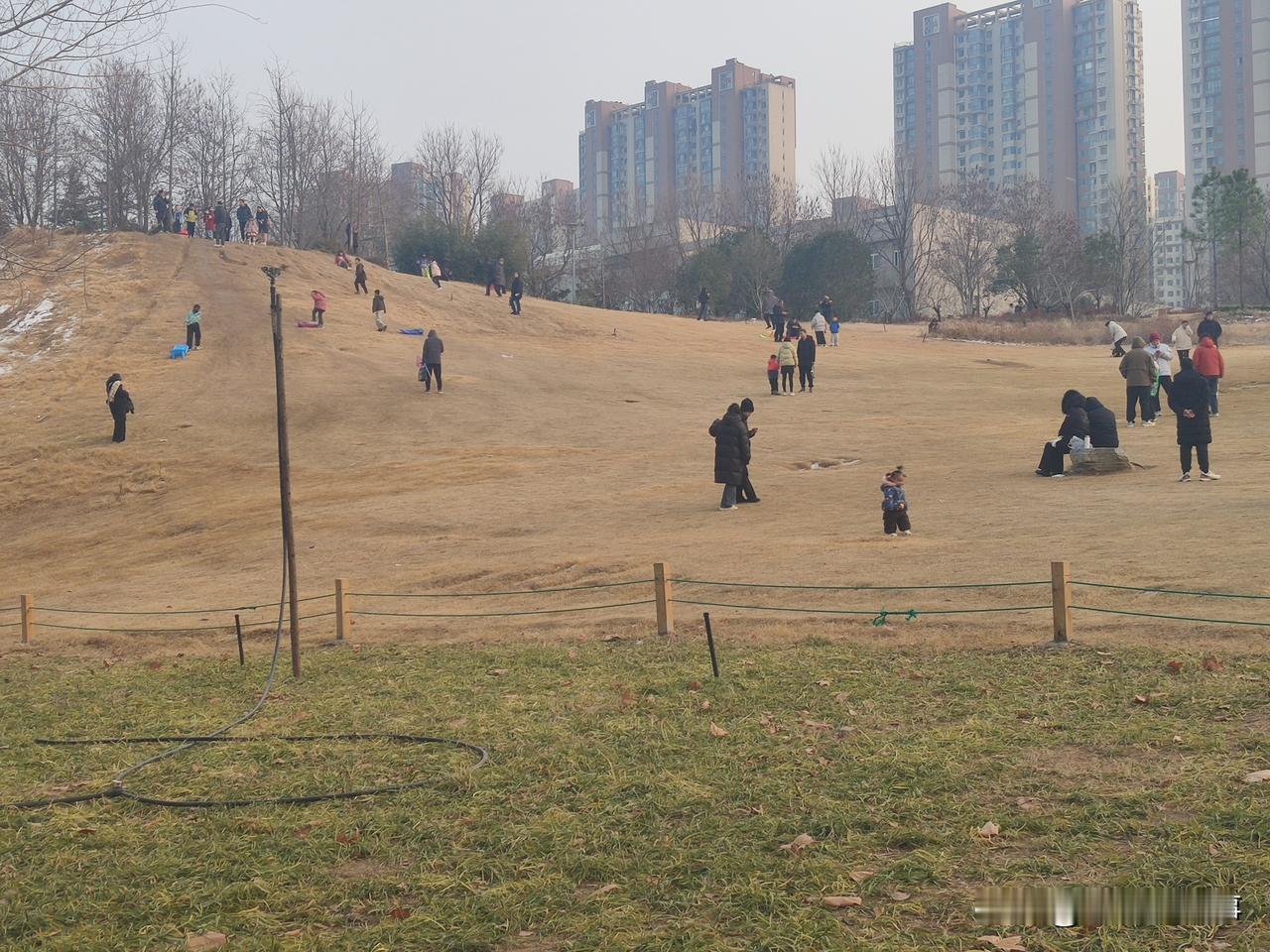 2026年第一天，郑州市西流湖公园随手拍:天虽冷，人却不少！