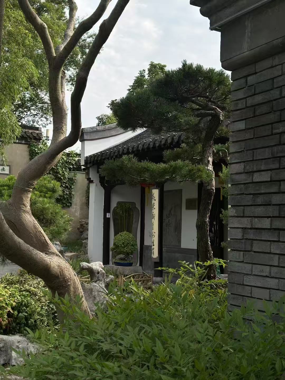 江苏扬州个园，打卡江南的园林之美！