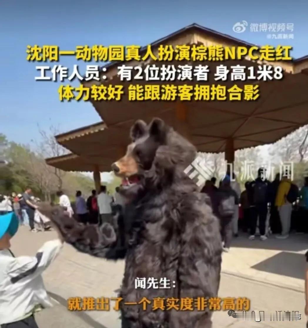 月薪过万！沈阳动物园惊现“真人假熊”，30斤皮毛服裹身，网友：给钱我也扛不住！[