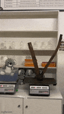 聪明的称重方式