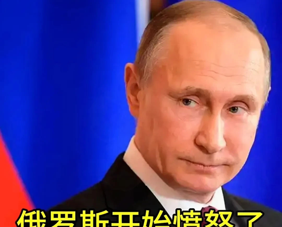 芬兰真大胆，竟敢动俄罗斯的钱嘿，小伙伴们，你们绝对想不到