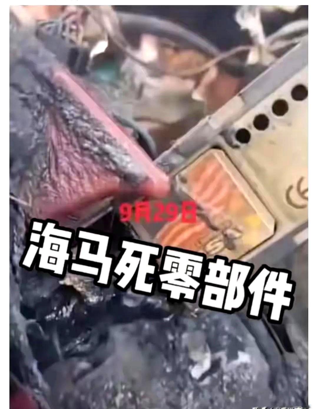 前线记者受伤被造谣家暴？某些人嘴比炮弹还毒！卢宇光在顿涅茨克遭炮击受伤的事，