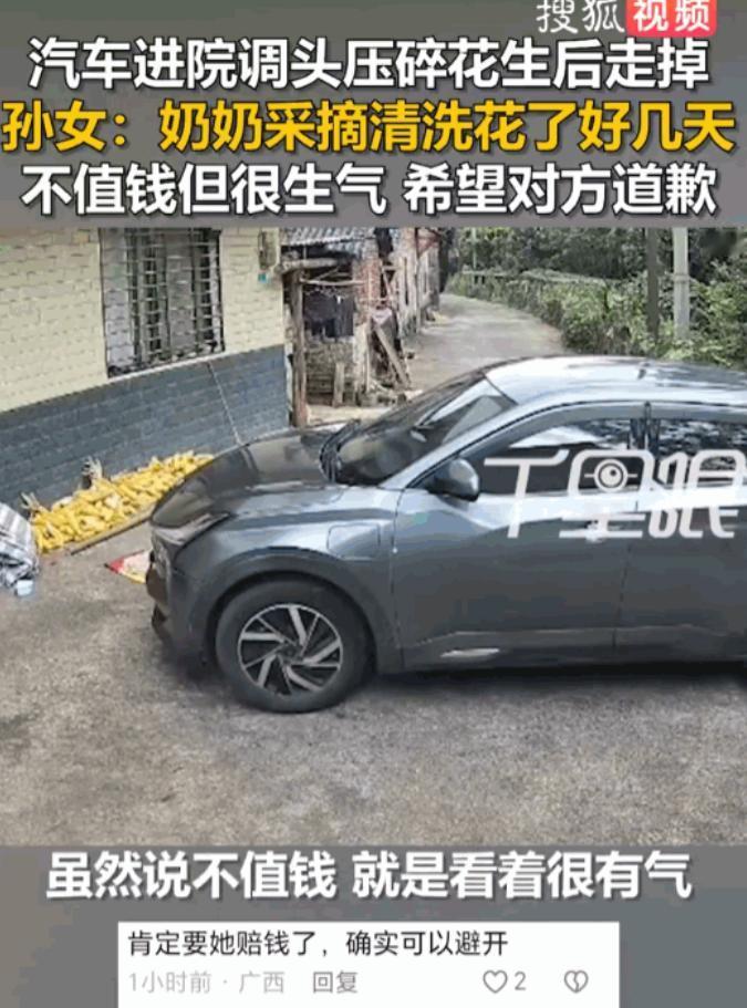 广西桂林一辆车闯进农家院坝掉头，碾碎老人晒了几天的花生，女子最后一句话让网友点赞