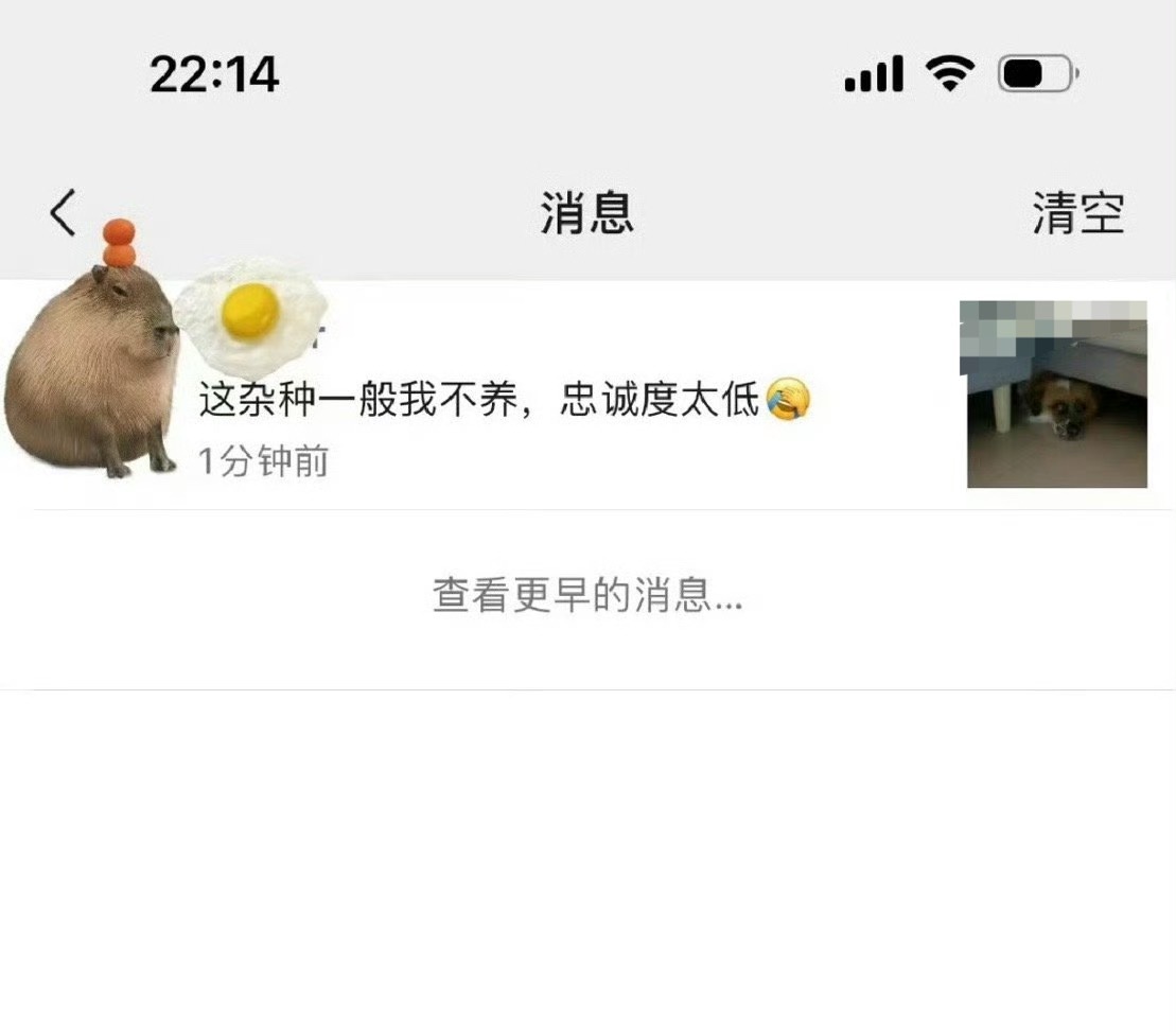 发了一条自家的狗狗，被前老板内涵了