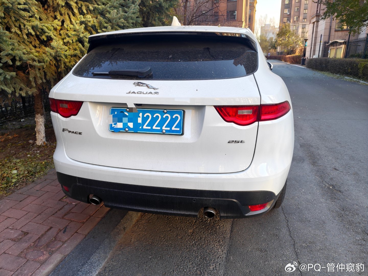 曾几何时我觉得捷豹的SUV很帅，很想拥有，当时价格太高，我记得高性能版售价接近百