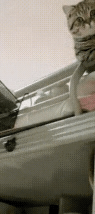 这是六年前一位女大学生录制的一段小视频……事情的经过是这样：这位女生常在校园投喂