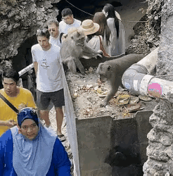 波澜不惊，懂得隐忍，是个人物。