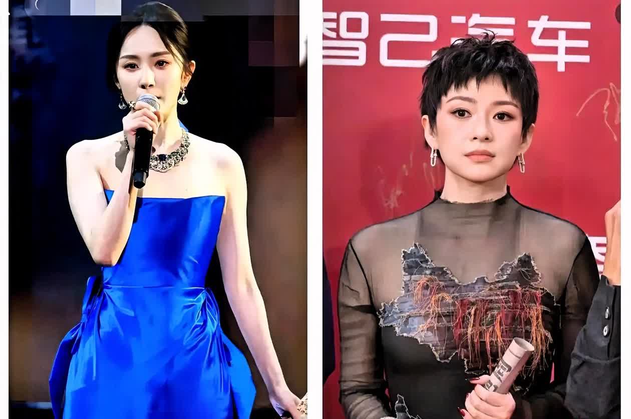 章子怡这次红毯后槽牙都要咬碎了很明显她输给了杨幂不是因为发型，也不是因为
