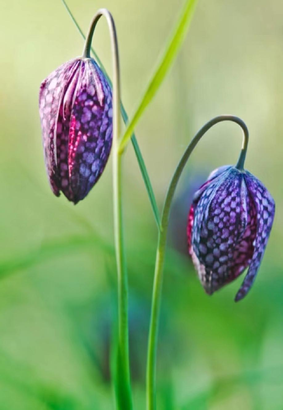 很有道理的一段话：“当你提出一个大要求时，对方拒绝了你，然后你再提出一个小