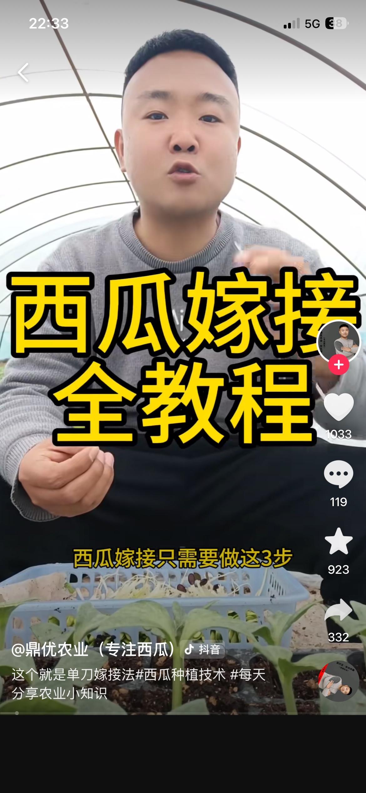 瓜农谈西瓜滞销：平均一斤不到1分钱在南瓜秧上结成的西瓜已经没有西瓜味啦，怎么能畅