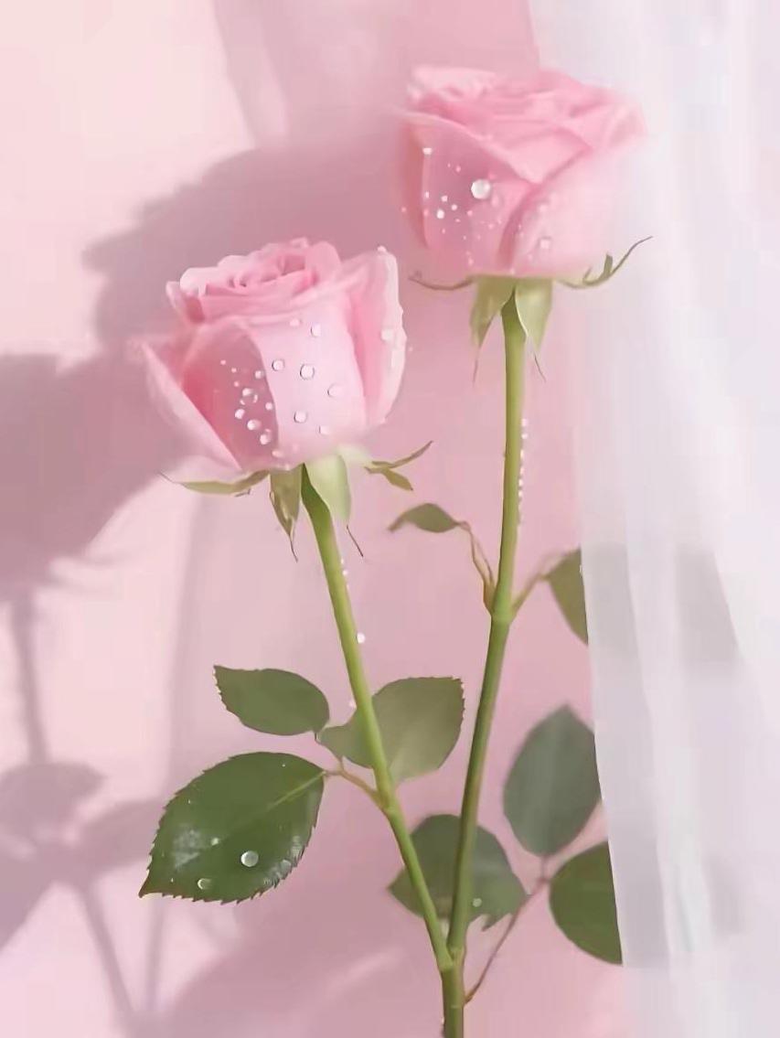 对任何人，都不要困惑，也不要相信。你就想想，有一天，你没饭吃的时候，