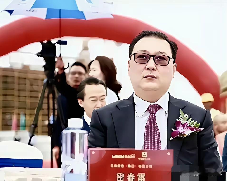 不少人觉得密春雷外形普通，心生疑问：当年董卿看中他的难道只有财富？鼎盛之时百亿