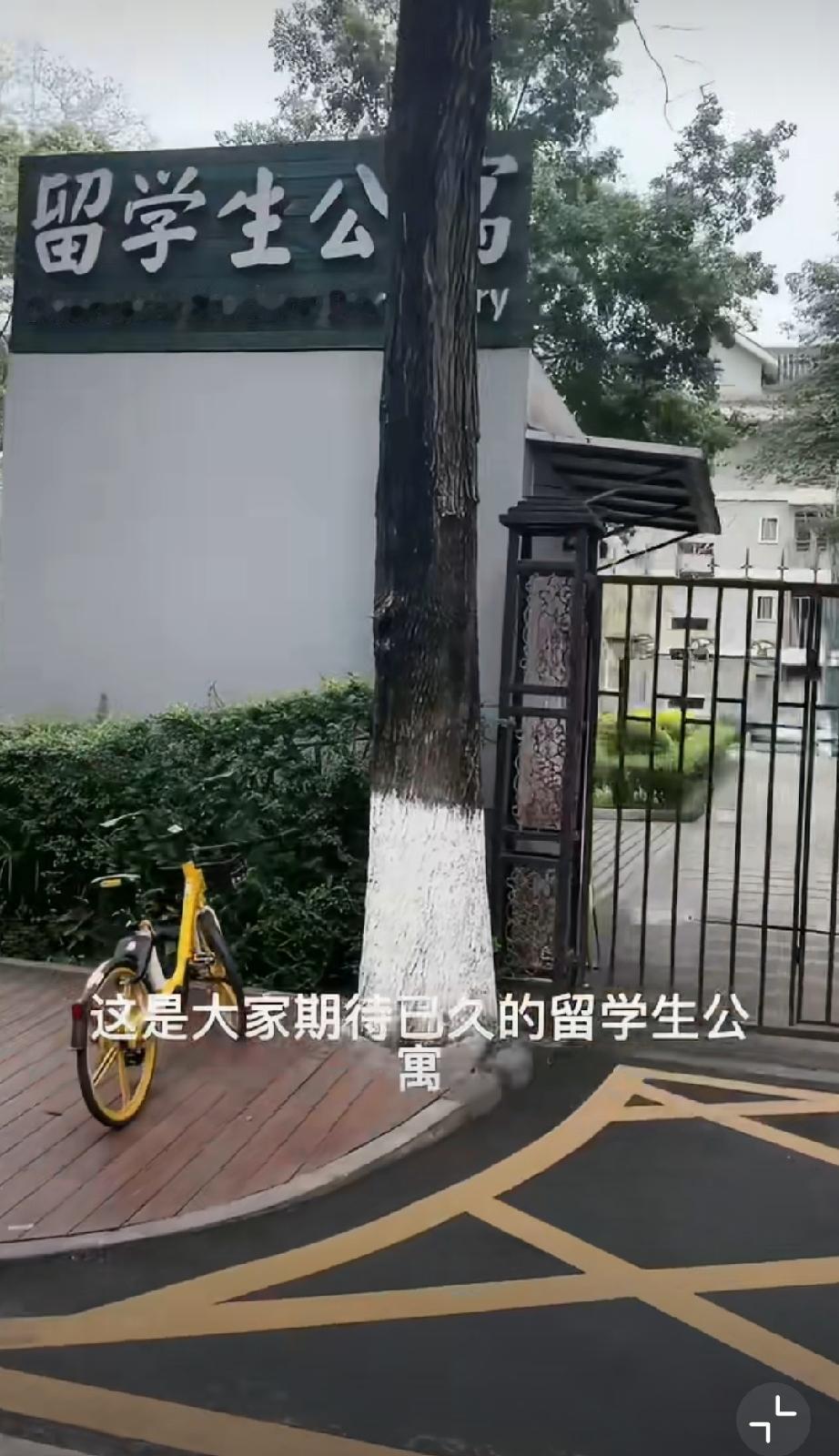 没有对比就没有伤害！某大学的留学生宿舍一个个小洋房，把拍视频的大学生羡慕坏了！宿