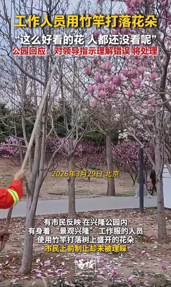 北京，一女子去公园赏花，却发现一名工作人员在用竹竿打落树上的花瓣，女子立刻上前制
