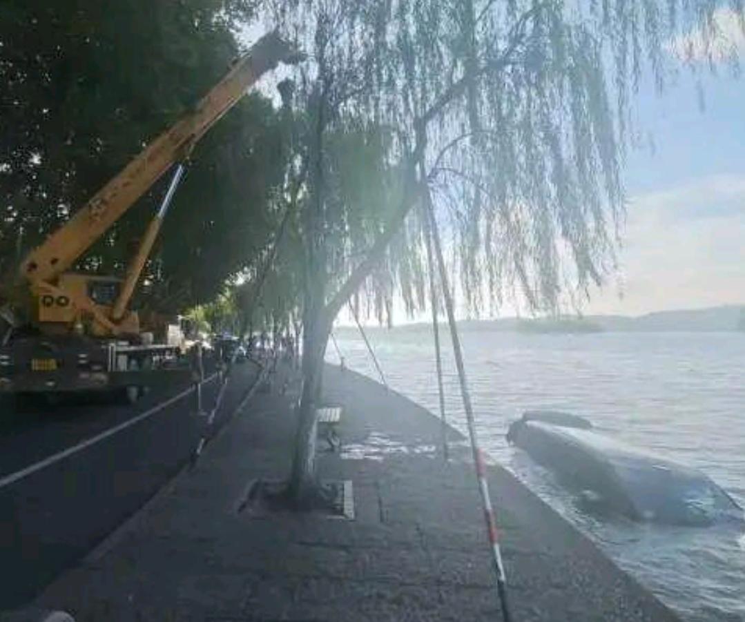 浙江杭州一辆新能源车不慎冲入西湖8月25日早上，浙江杭州一辆新能源车不慎坠湖，