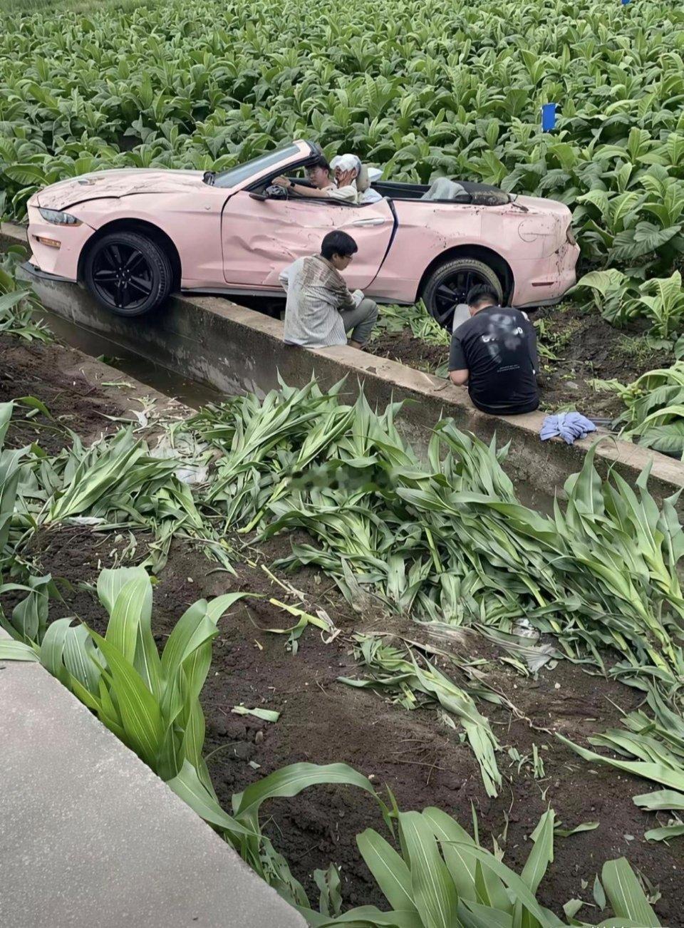 租车给他们的人真是亏麻了这种保险肯定不管了吧