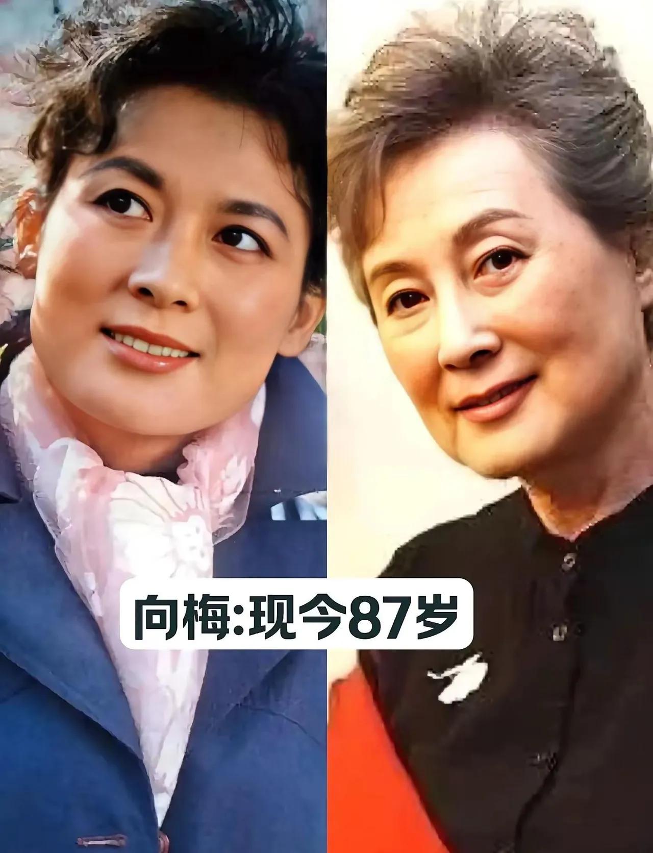 王晓棠——今昔对比祝希娟——今昔对比郭淑珍——今昔对比田华——今昔对比丁