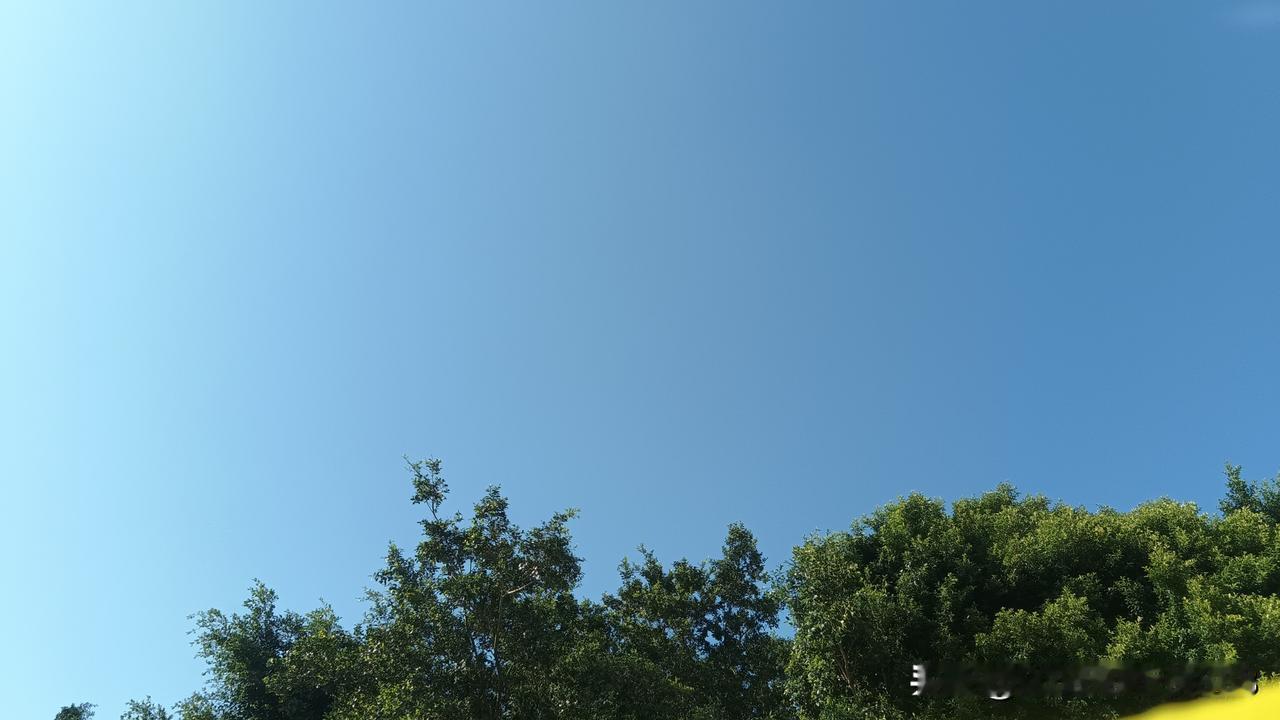 一位资深药店人，执业15年的药师说:要说医学专业深度，我不如一些医生，但要说