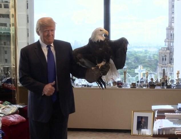 骗了全世界？特朗普很可能骗了全世界，他口口声声大喊赶快结束乌克兰战争，却又不支