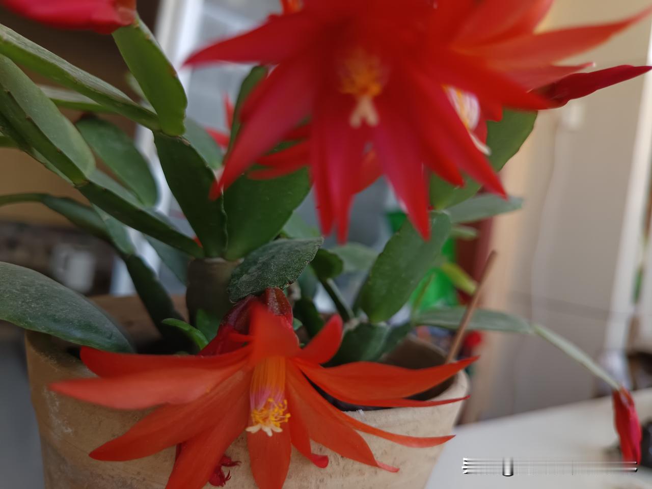 这样的闺蜜好友你羡慕嫉妒吗？公共场合，有个一个大妈高声说，买了个小房子，全款也就