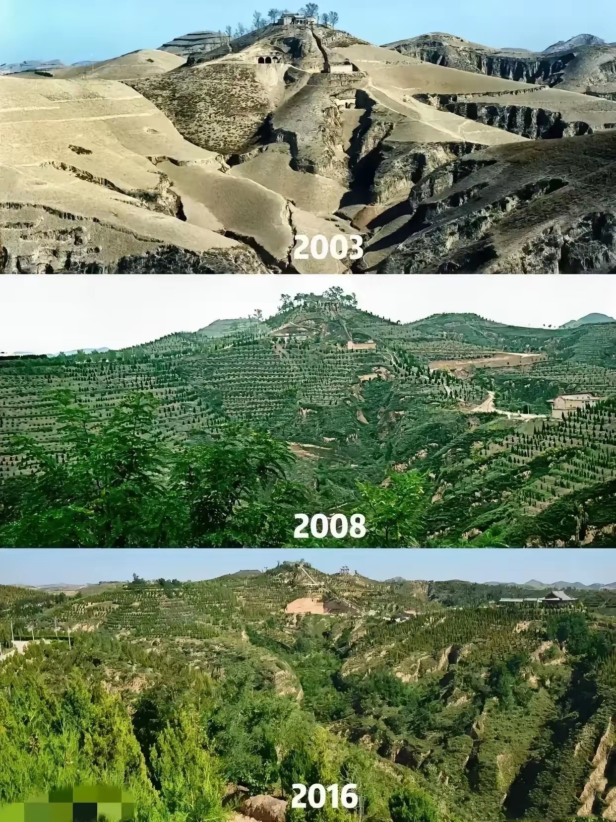 毛乌素沙漠20年变化图，估计全世界只有中国能做到！