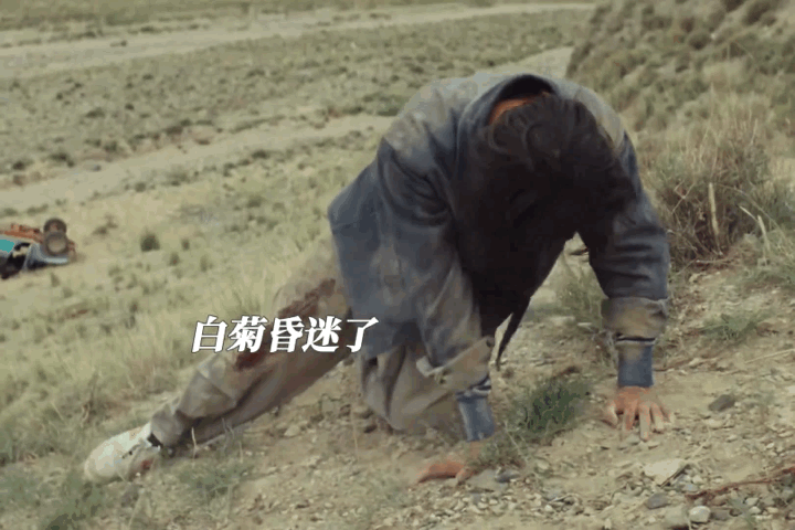 生命树死亡没有慢镜头没有华丽镜头，没有刻意催泪😔，《生命树》用最克制的方式拍