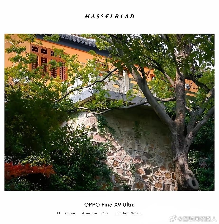 徕卡一瞬、OPPO哈苏大师以及华为红枫影像，三者拍照实力横向对比