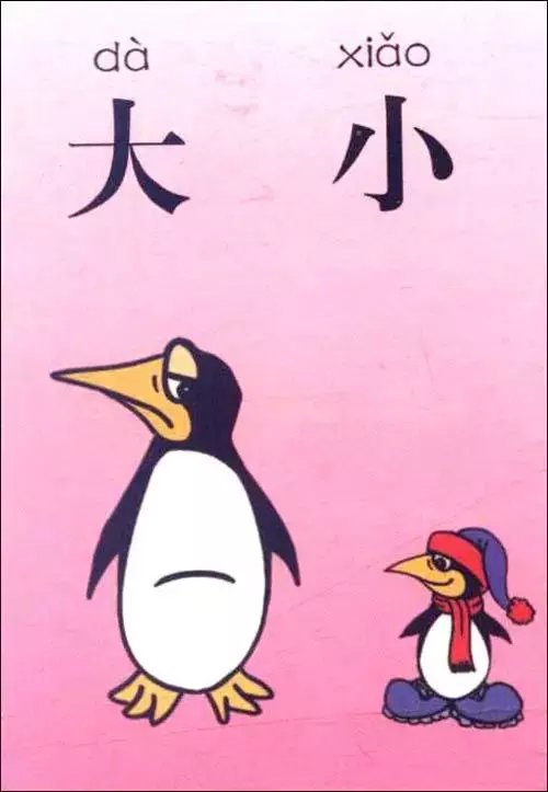 幼儿园不识字, 上小学后成绩被甩在后面, 果真如此吗?