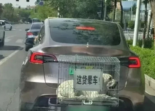 良心车主，难怪开得起好车。[点赞][点赞][点赞]