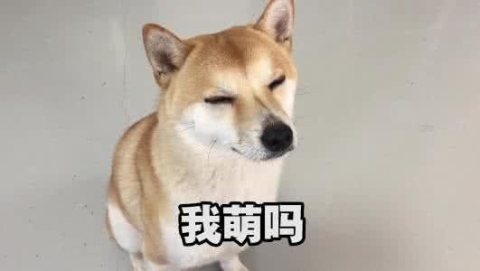 4753297996358368271.jpg?id=0