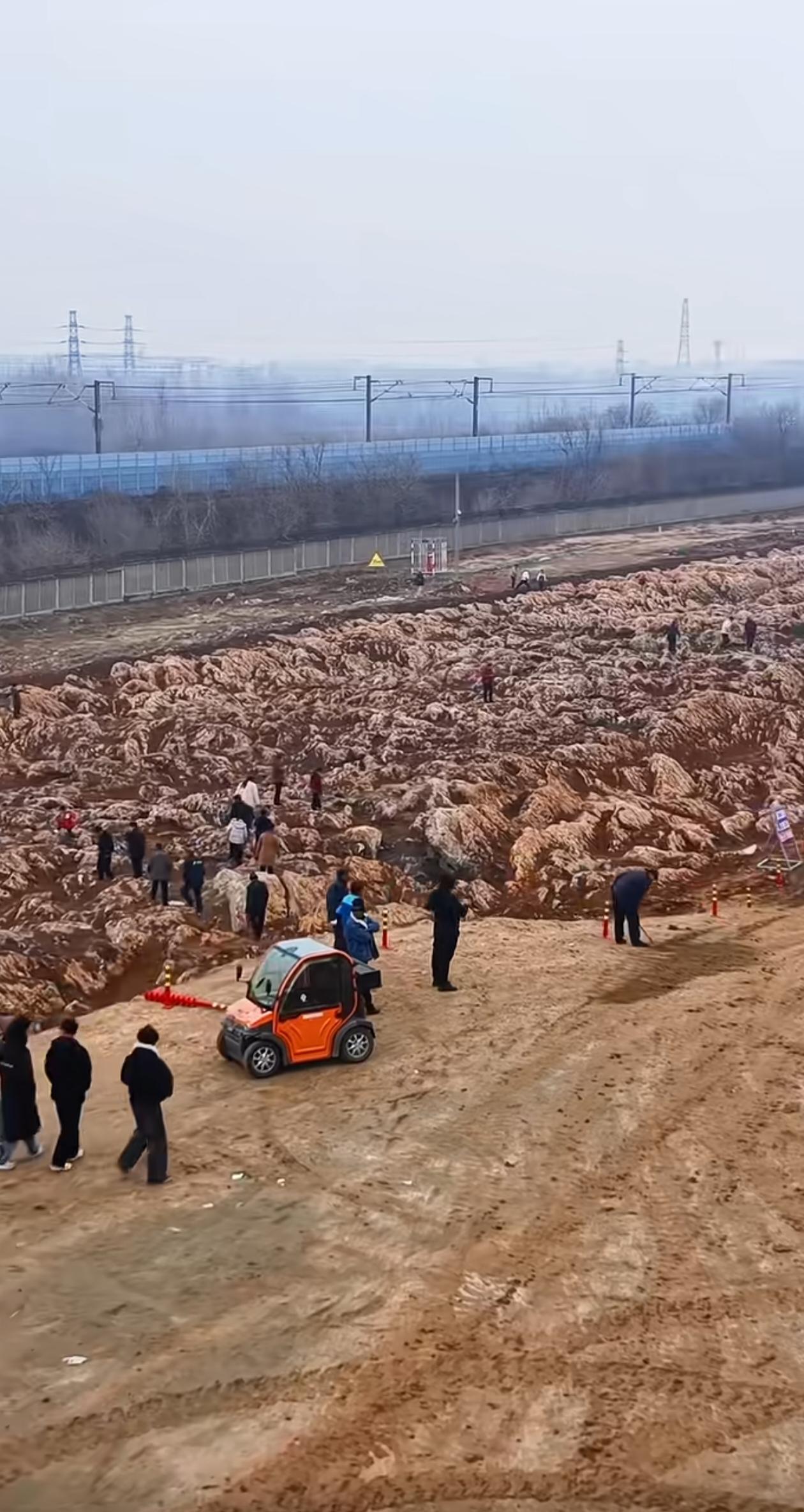 山东宁阳修高铁挖出“石海”，真是沧海桑田啊！据专家研究，这里5亿年前是一片汪洋大