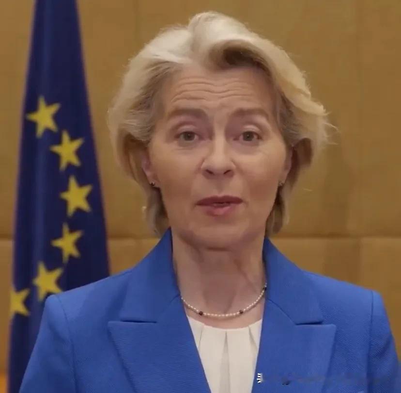 【欧盟多国就格陵兰主权发声！】欧盟委员会主席冯德莱恩今天（1月19日）发文说：