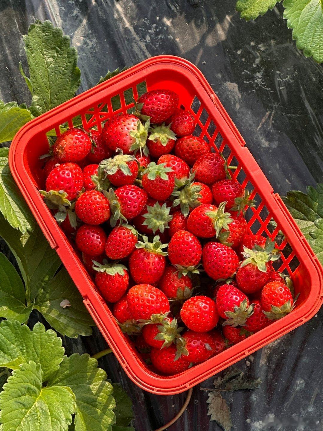 这个时间点，一定要重视医药类板块，特别是流感，创新药联动的。也包括医药ETF类。