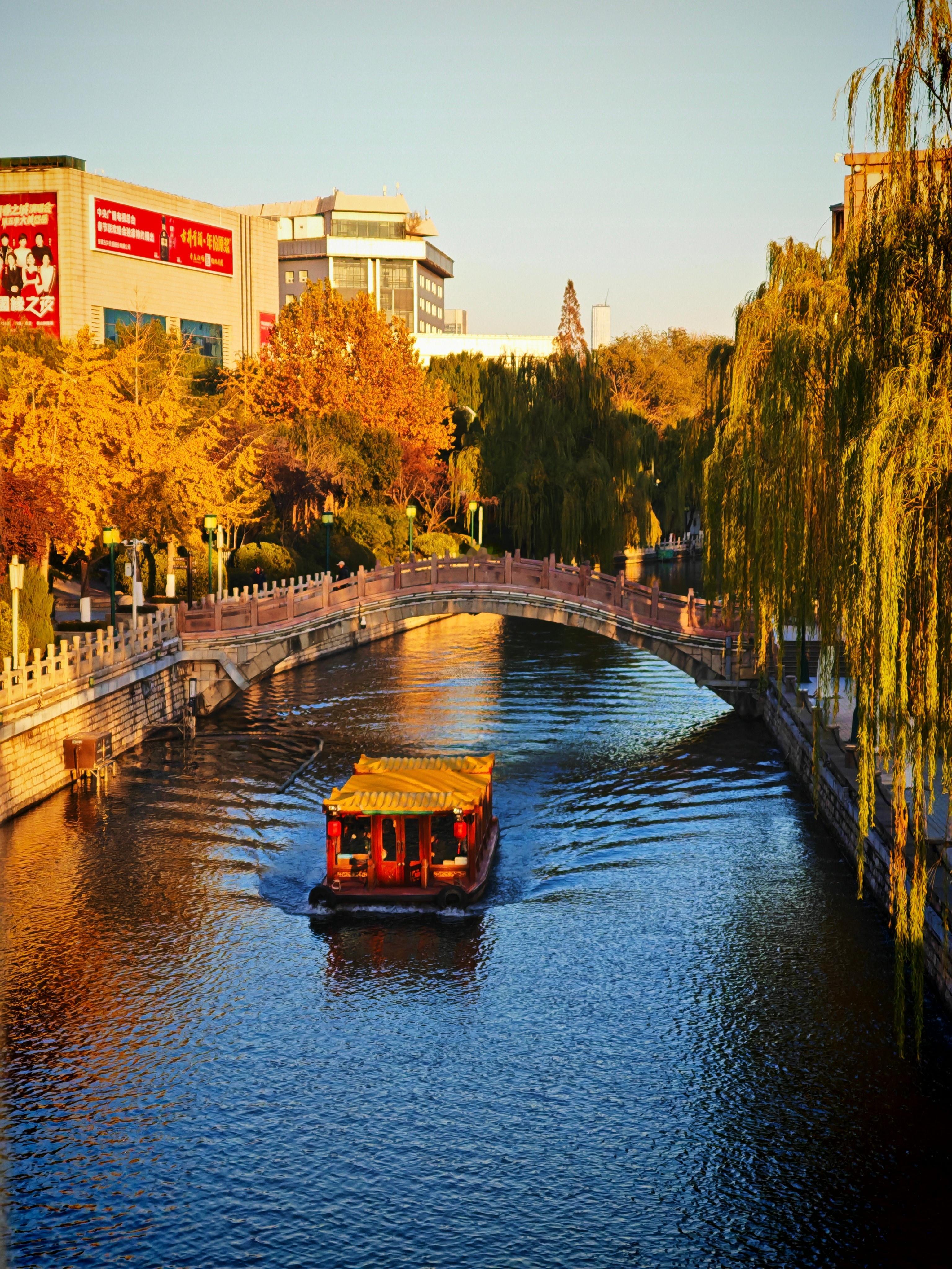 荣耀500Pro更新4K动态照片拍摄了，不过最近北方室外又冷又光秃秃的，没啥可