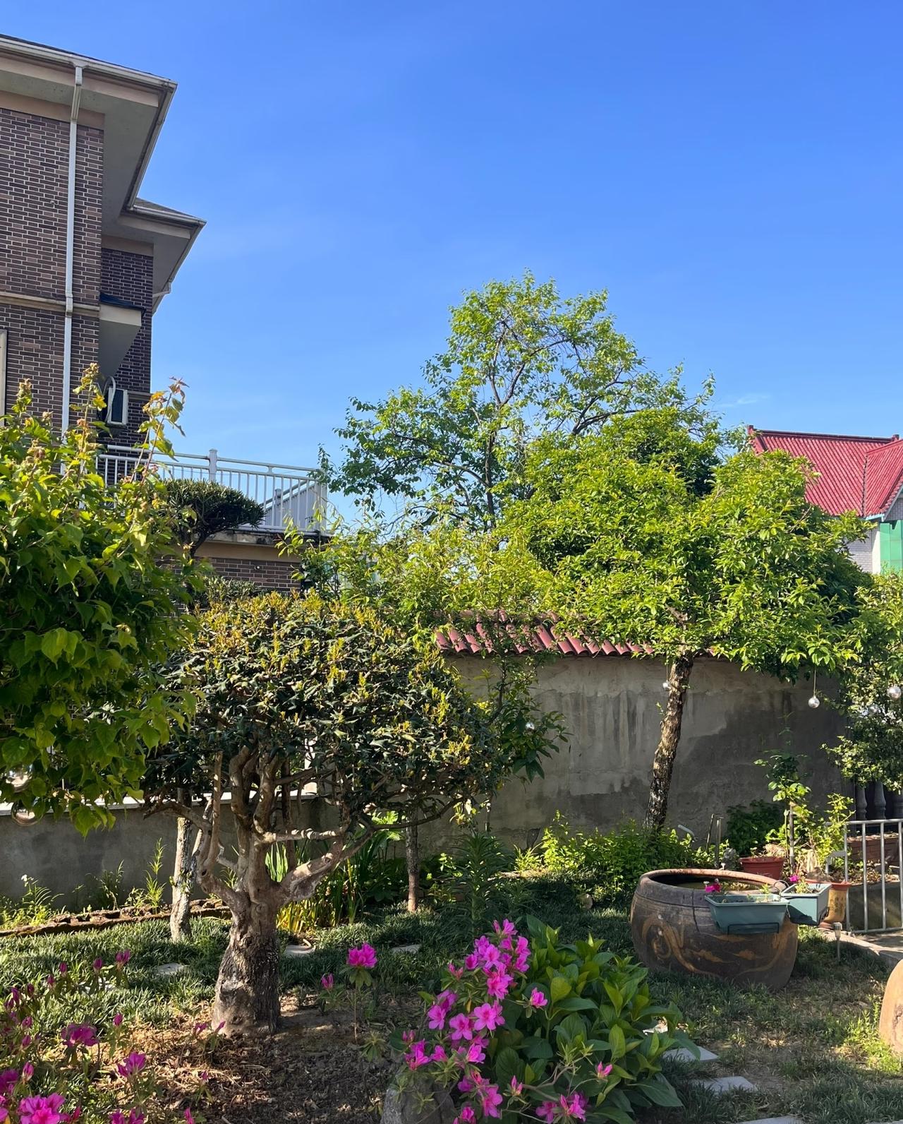 有个小房子小房子里面种点花花草草可能老了才会过上这样的生活向往的生活