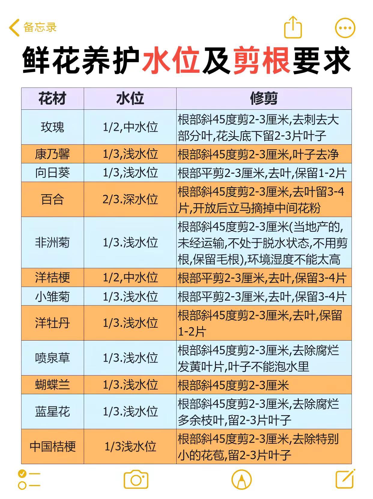 零基础学花艺必看｜常见鲜花养护水位及剪根。