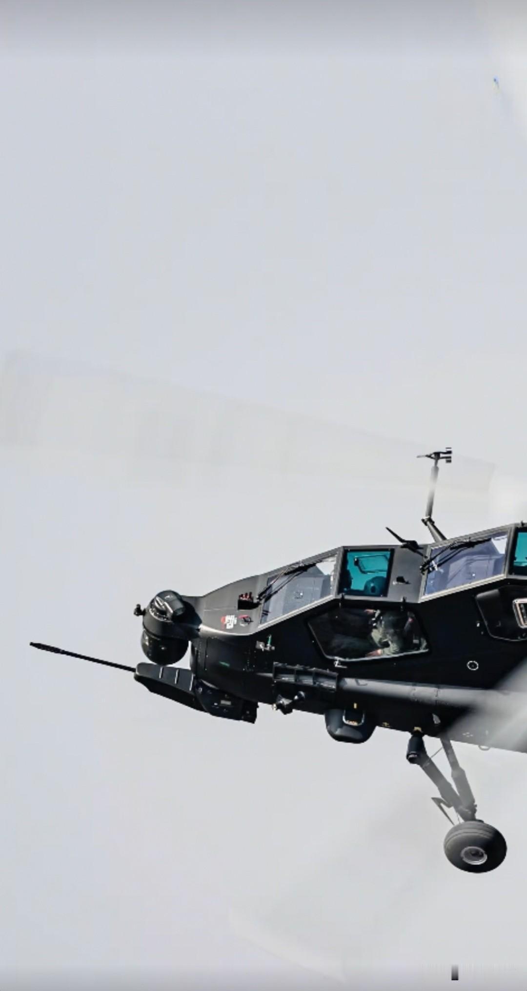 今天发现武直-10有两款机炮，问了一下“豆包”，说图1是14.5毫米三管加特林转