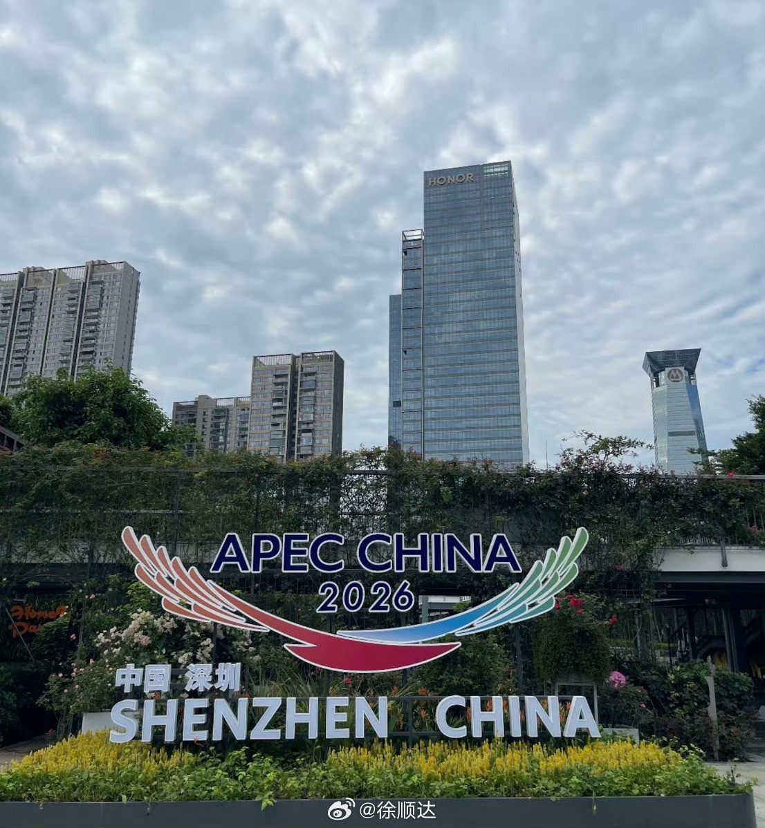 APEC深圳之约：100天后的世界，在这里相会深圳湾畔，红树林正在退潮。滩涂上新