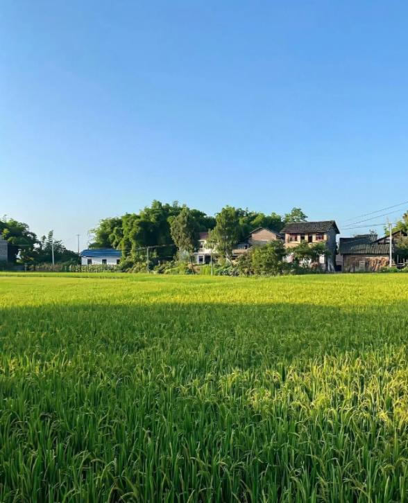 俄阿外长确认双边关系完全正常化亲爱的朋友们大家好，我是海林小百科，今天我们来看