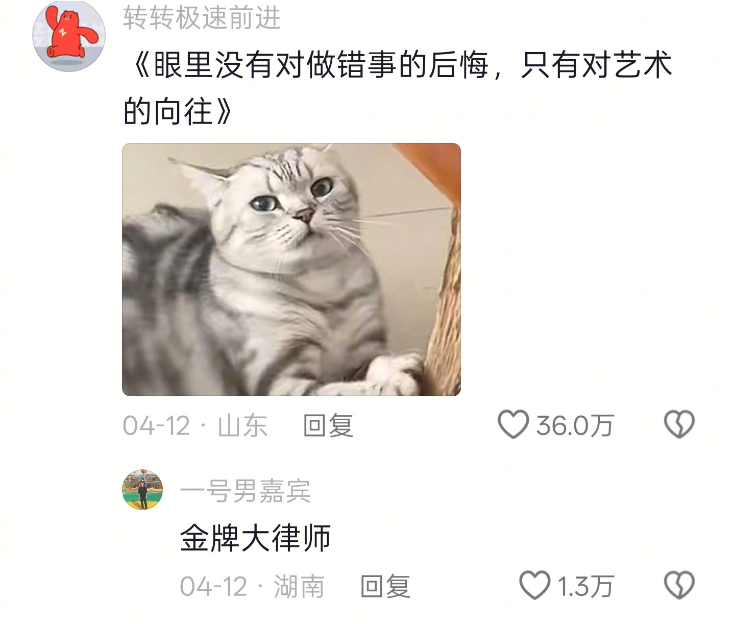 小猪咪能有什么错，从它的眼里我只看到了对艺术的追求～
